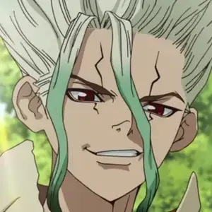 Dr. Stone